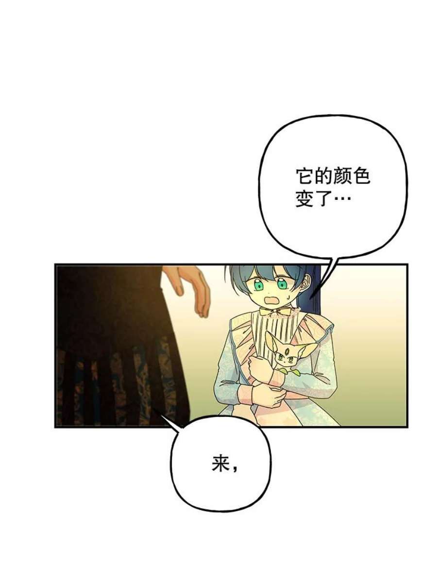 大魔法师的女儿101.风系魔法