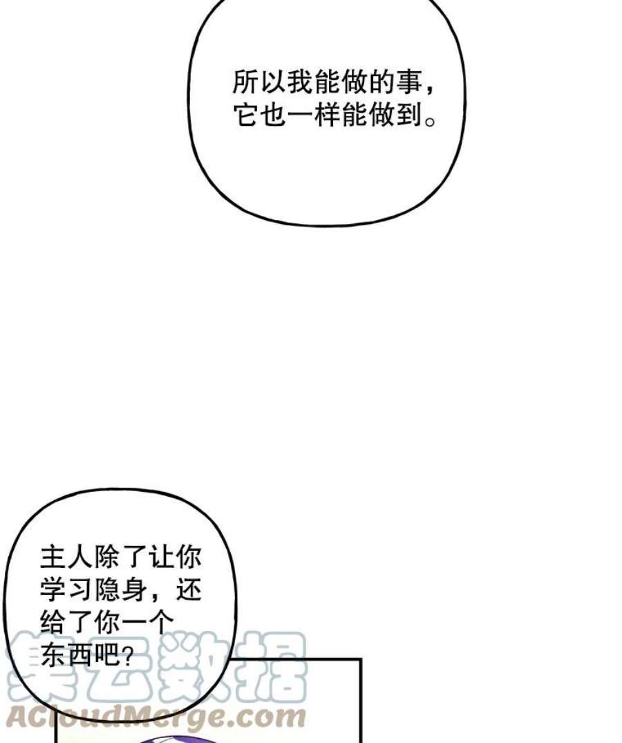 大魔法师的女儿105.隐身