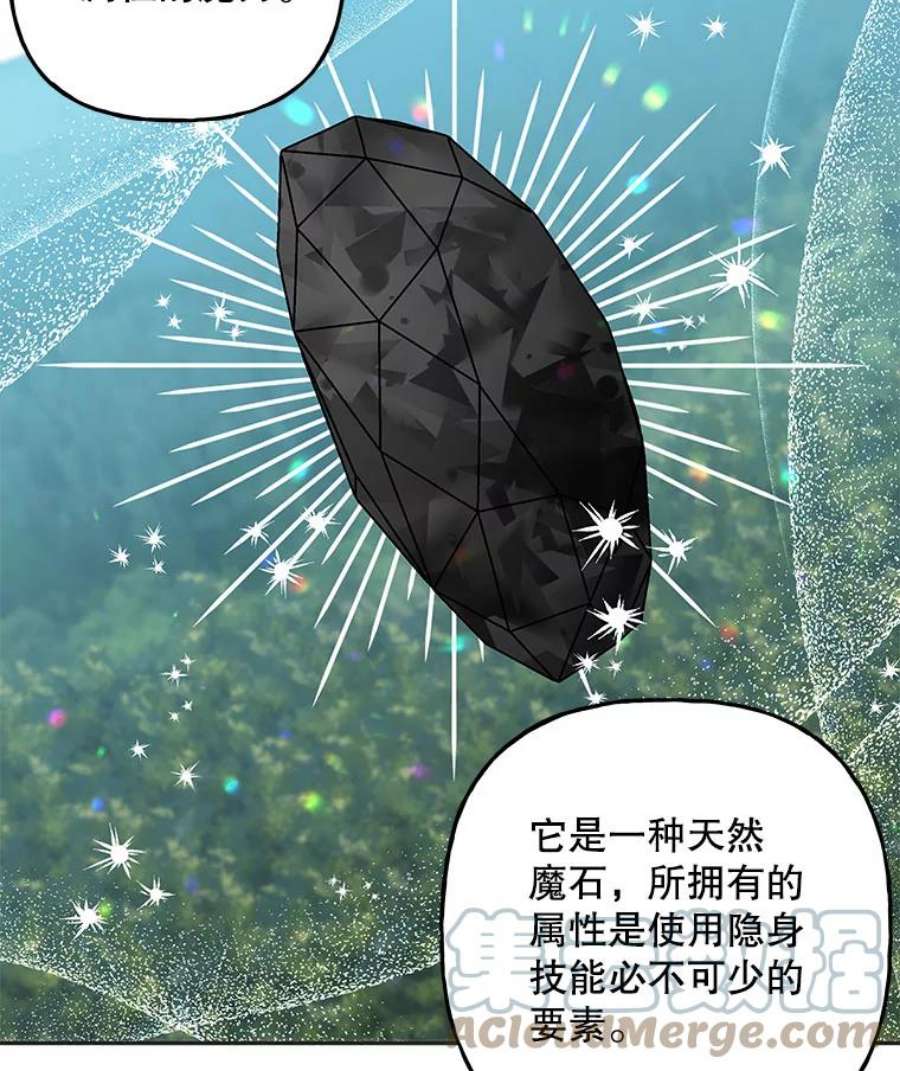 大魔法师的女儿105.隐身