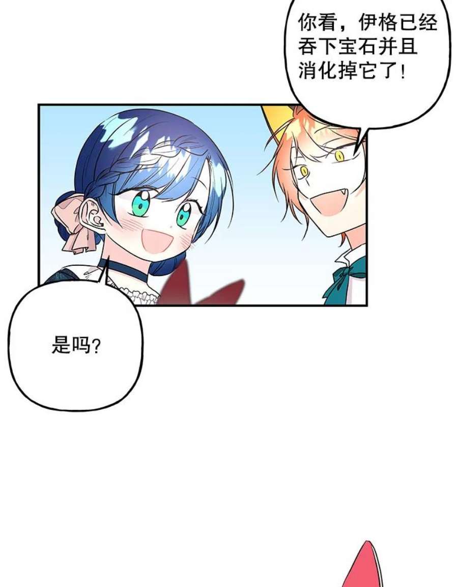 大魔法师的女儿106.伊格与宝石