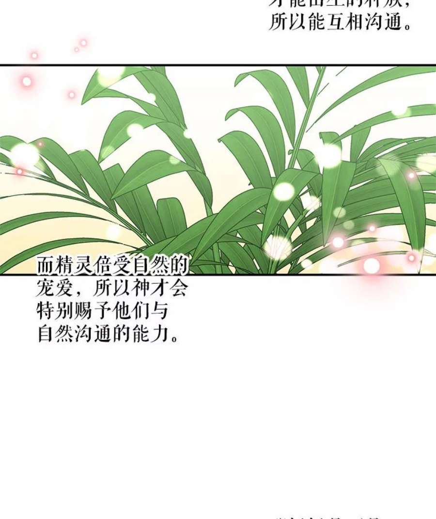 大魔法师的女儿108.大会议厅