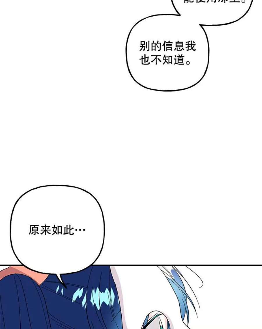 大魔法师的女儿111.潜入