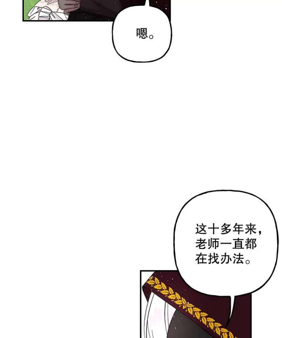 大魔法师的女儿112.奇怪的小马