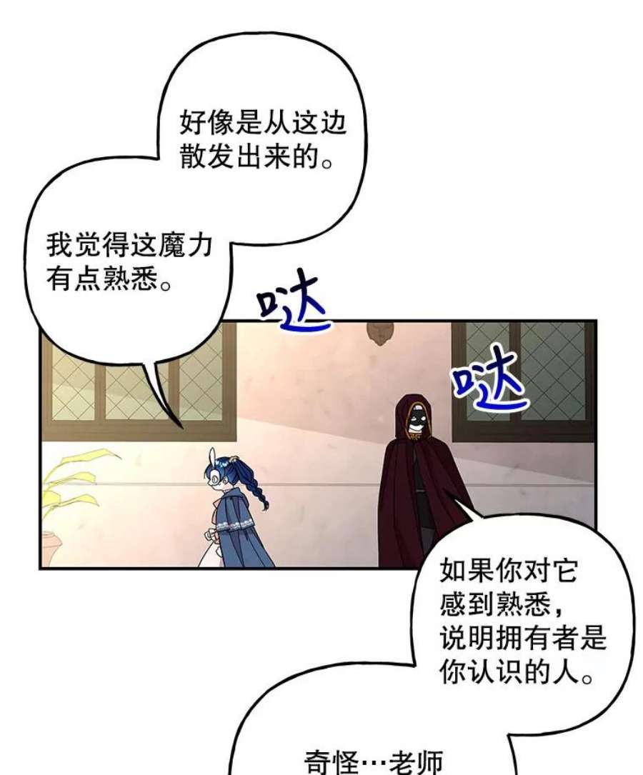 大魔法师的女儿112.奇怪的小马