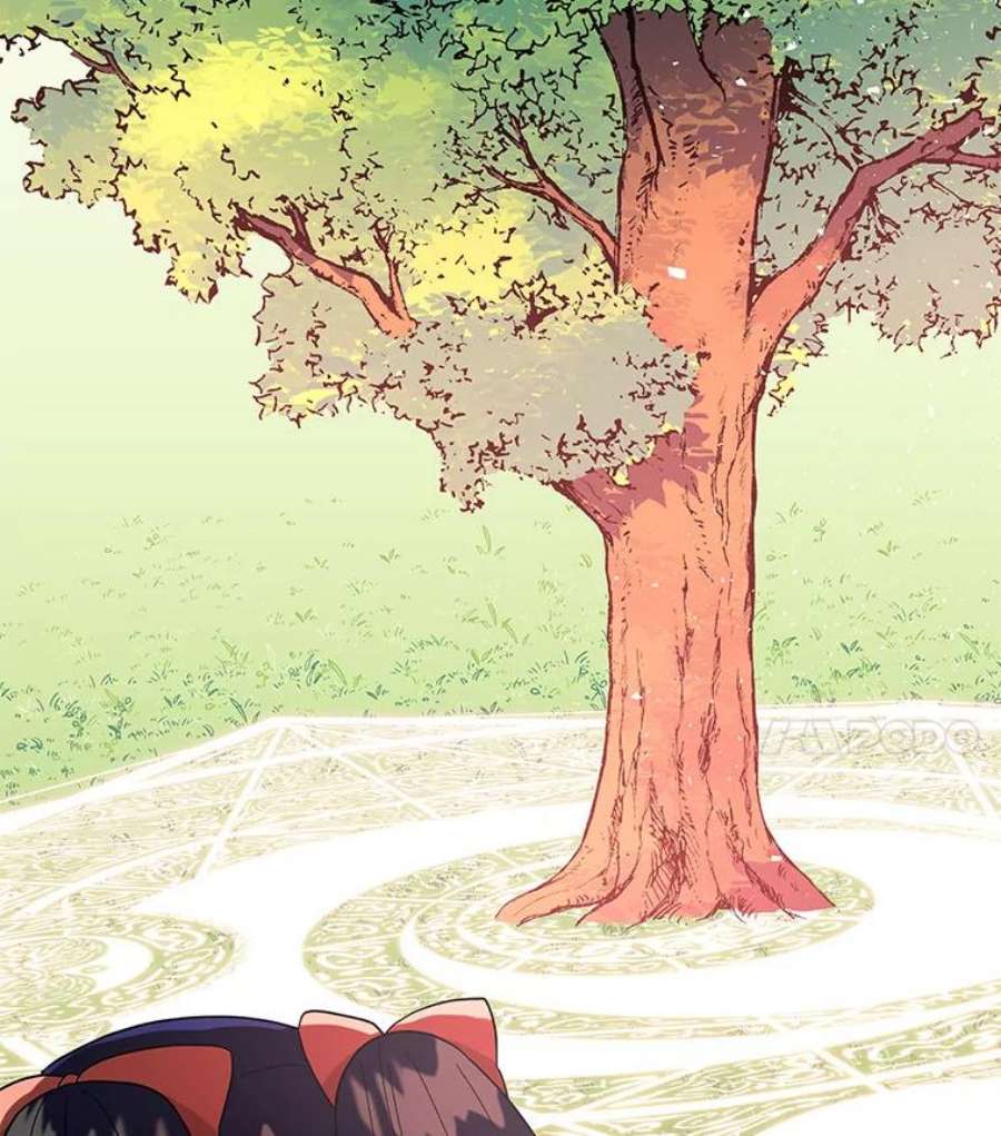 大魔法师的女儿112.奇怪的小马