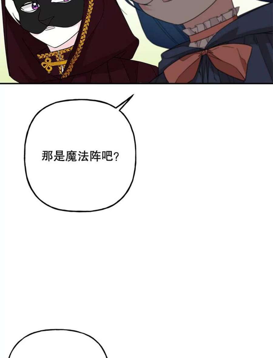 大魔法师的女儿112.奇怪的小马