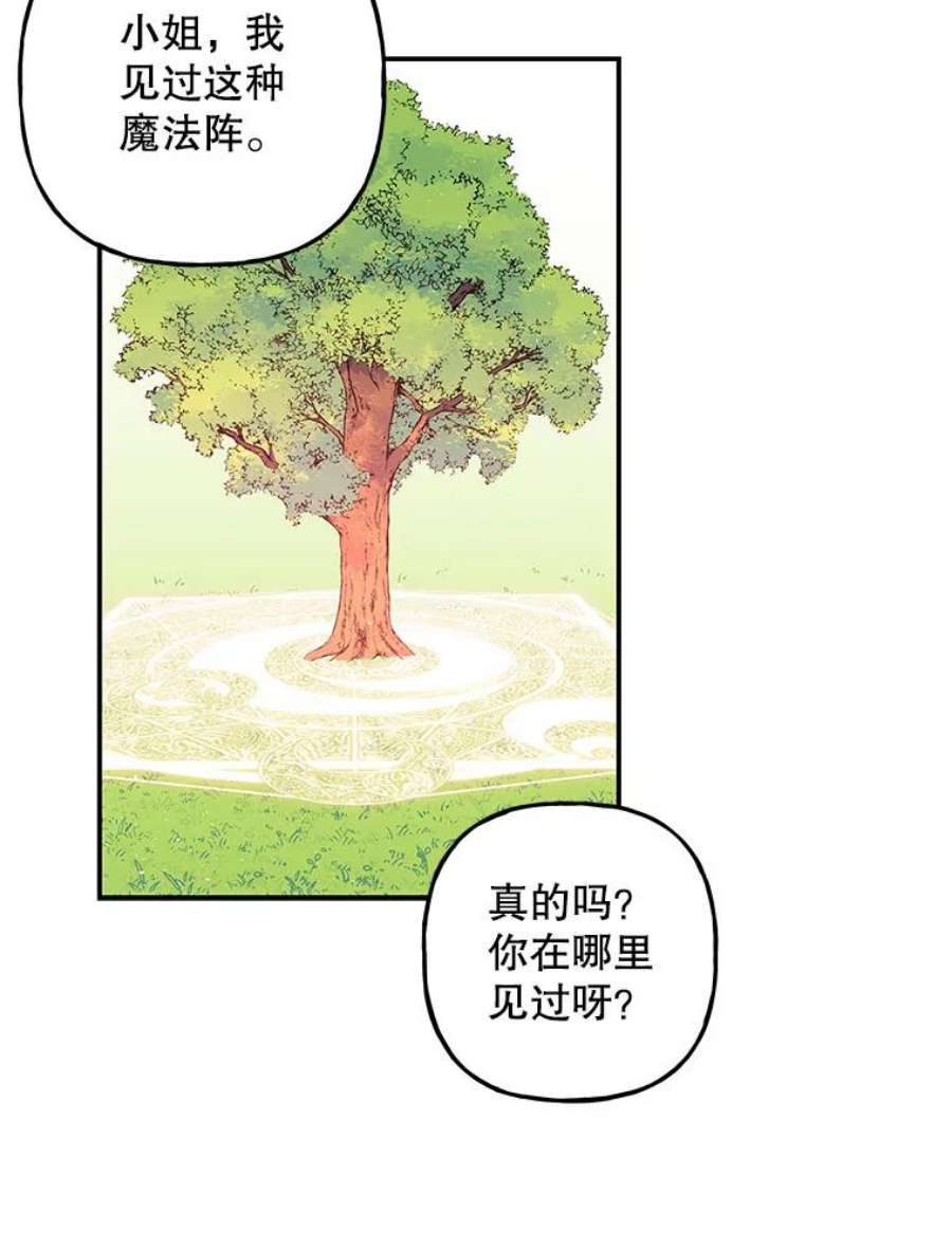 大魔法师的女儿112.奇怪的小马