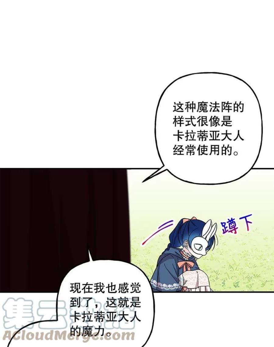 大魔法师的女儿112.奇怪的小马