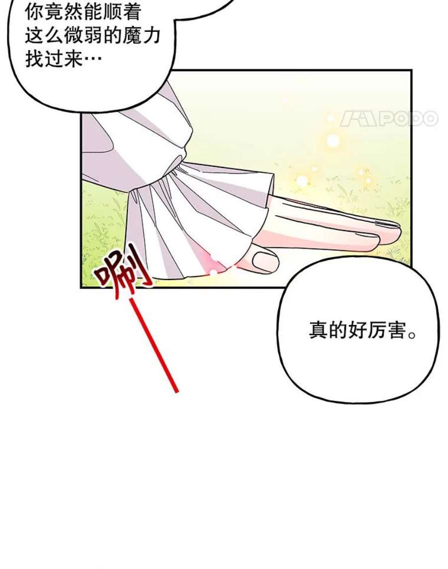 大魔法师的女儿112.奇怪的小马