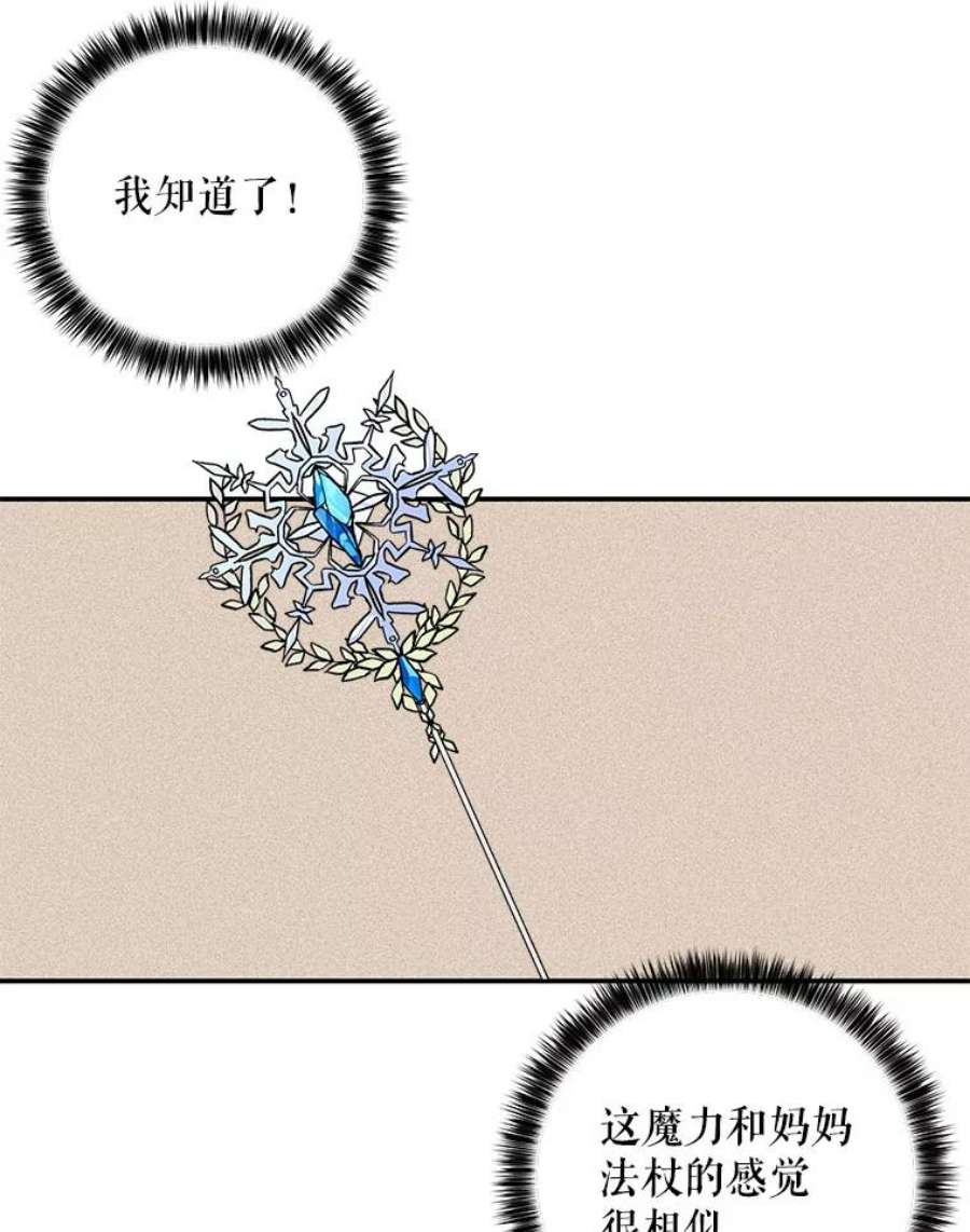 大魔法师的女儿112.奇怪的小马
