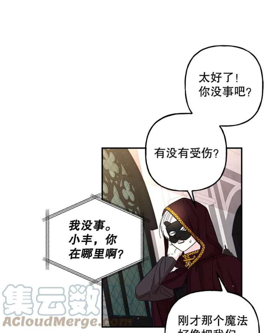 大魔法师的女儿112.奇怪的小马