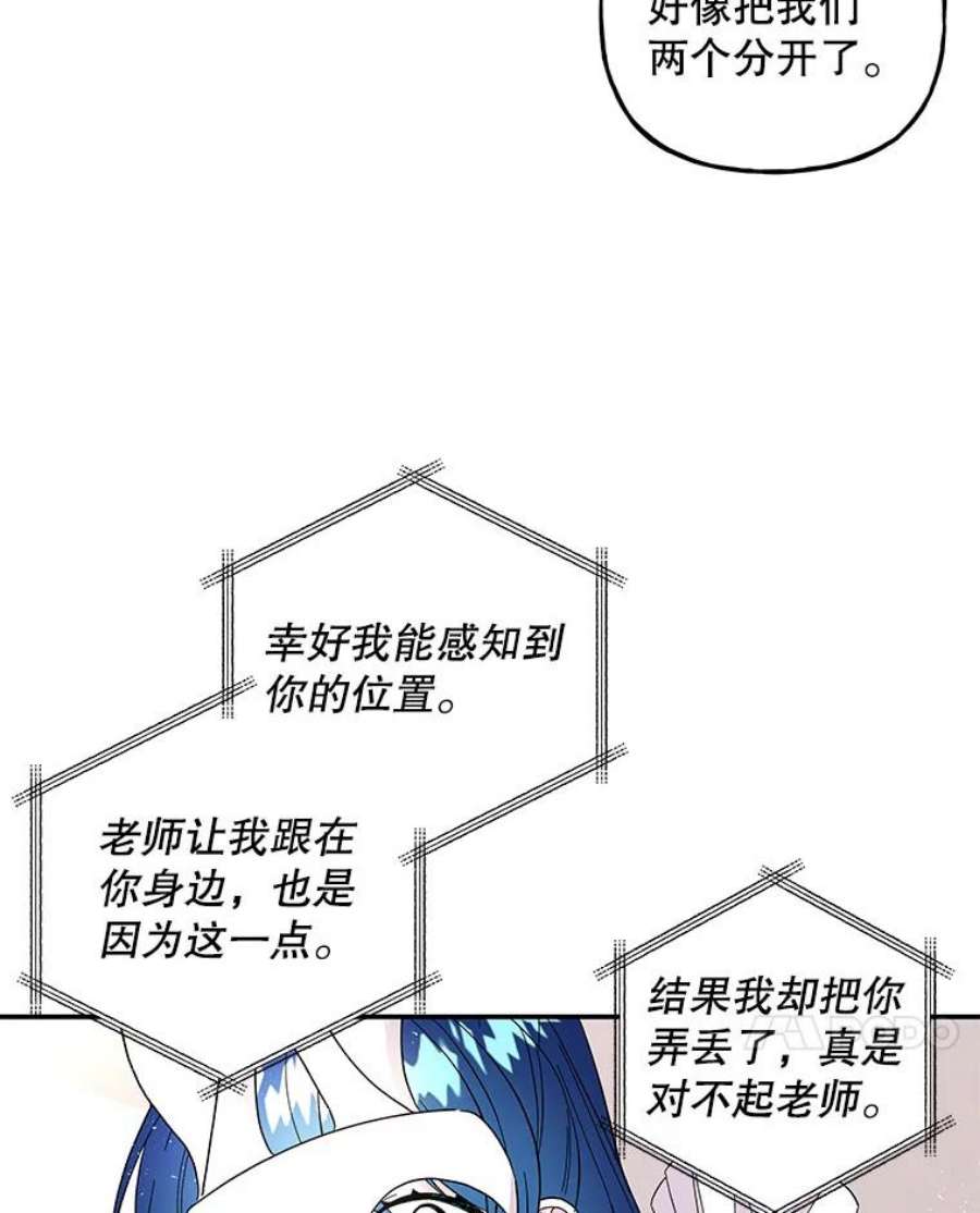 大魔法师的女儿112.奇怪的小马