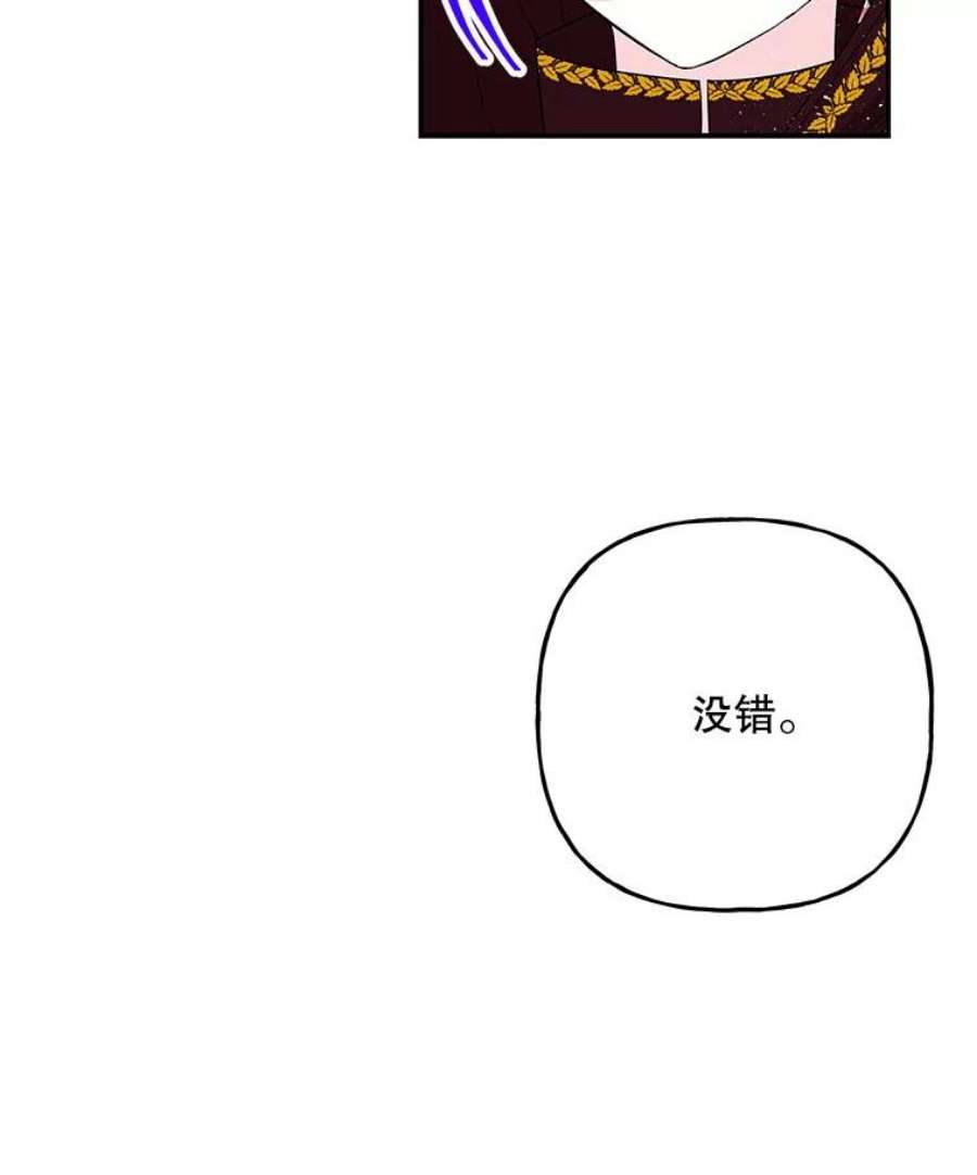 大魔法师的女儿112.奇怪的小马