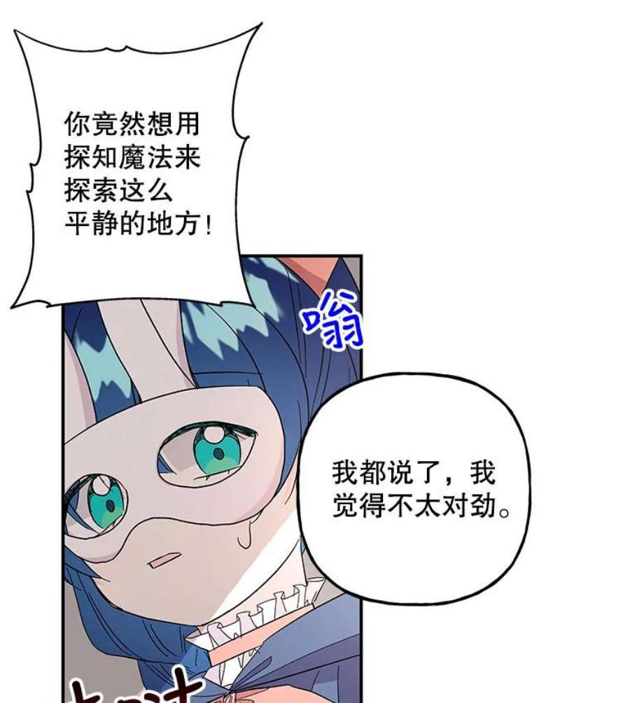 大魔法师的女儿112.奇怪的小马