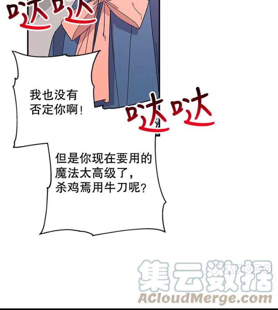 大魔法师的女儿112.奇怪的小马