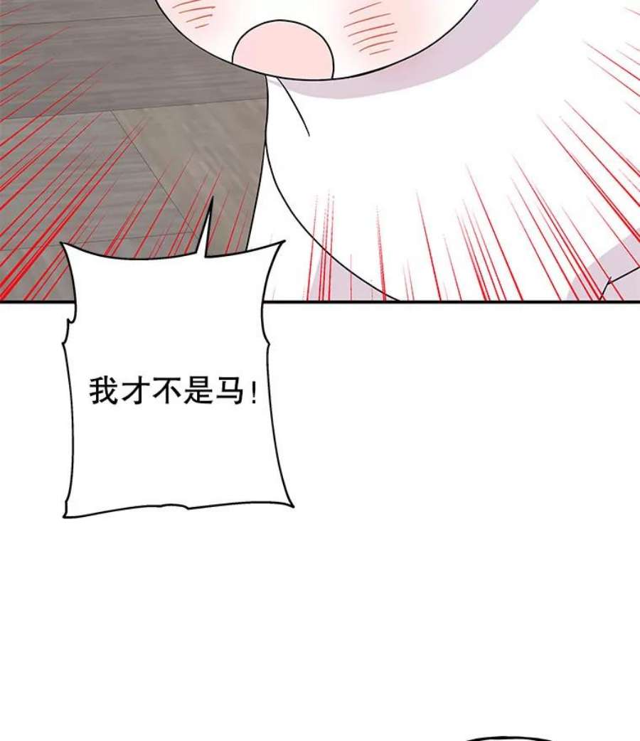 大魔法师的女儿112.奇怪的小马