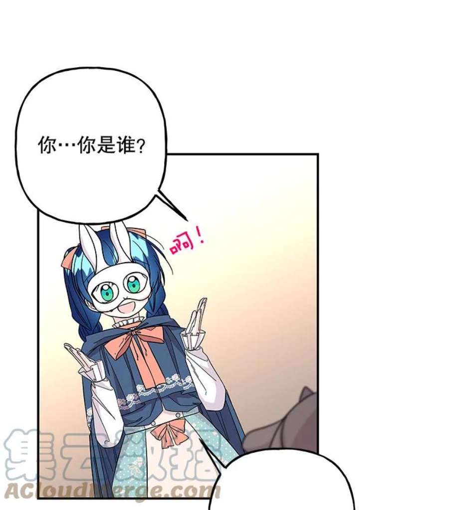 大魔法师的女儿112.奇怪的小马