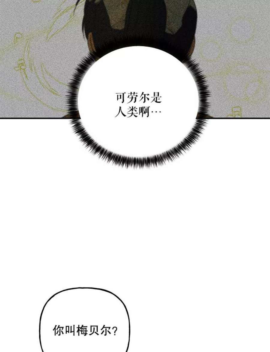 大魔法师的女儿112.奇怪的小马