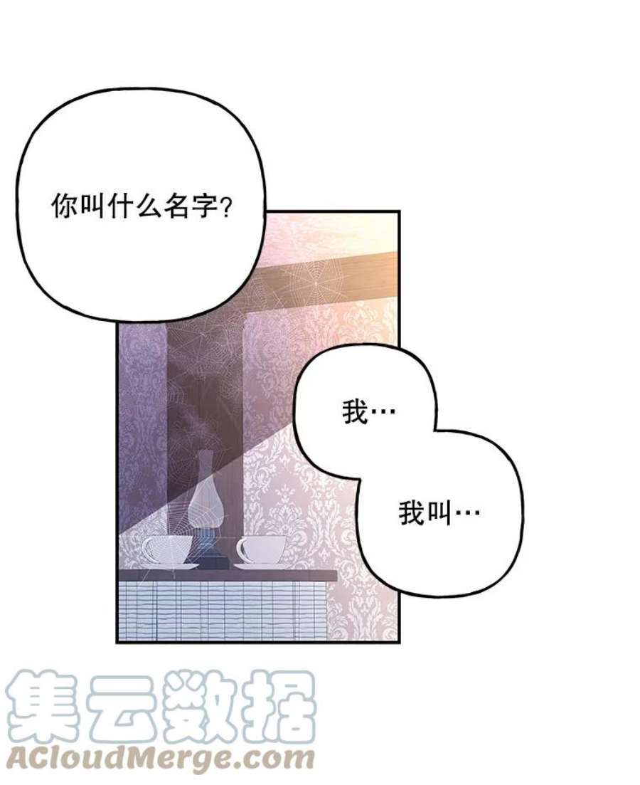 大魔法师的女儿112.奇怪的小马