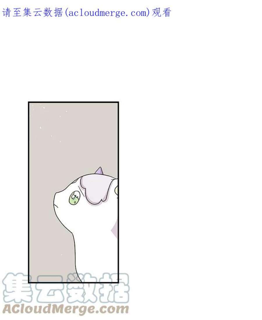 大魔法师的女儿114.逃离