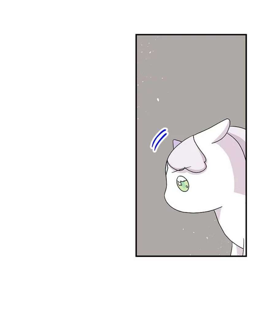 大魔法师的女儿114.逃离