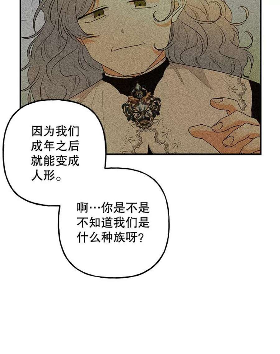 大魔法师的女儿114.逃离