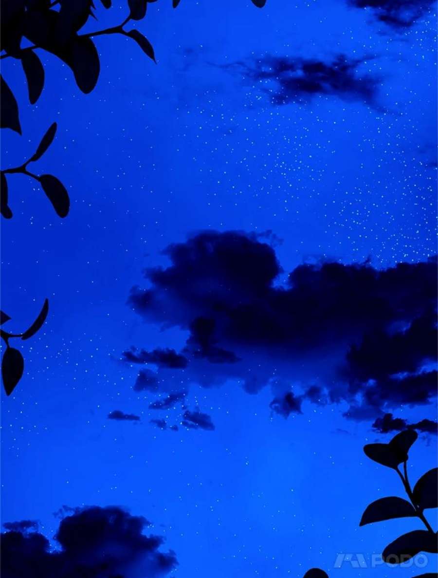 小心那个恶女外传17.初吻