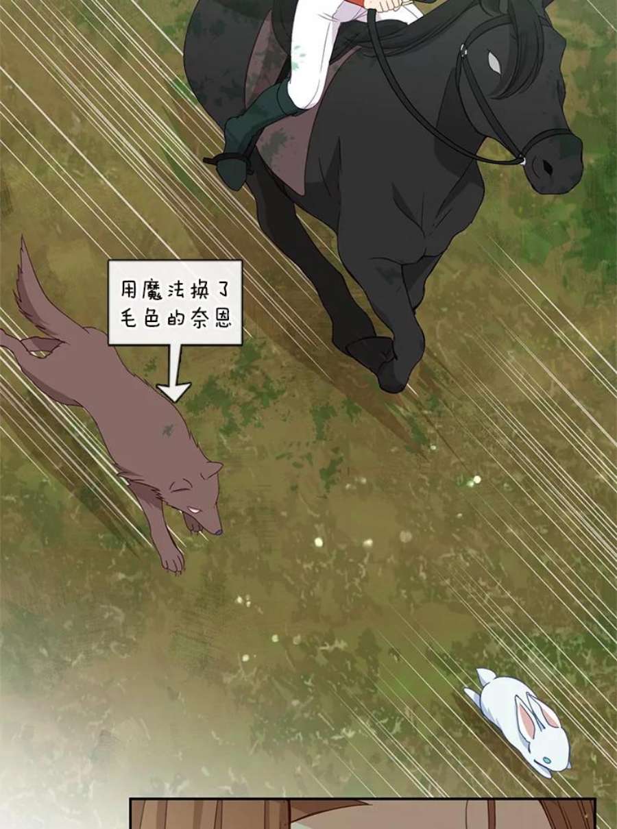 小心那个恶女45.狩猎大会（3）