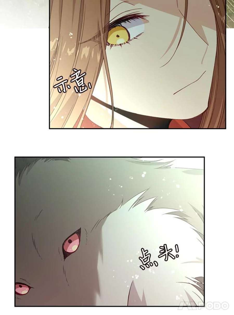 小心那个恶女45.狩猎大会（3）