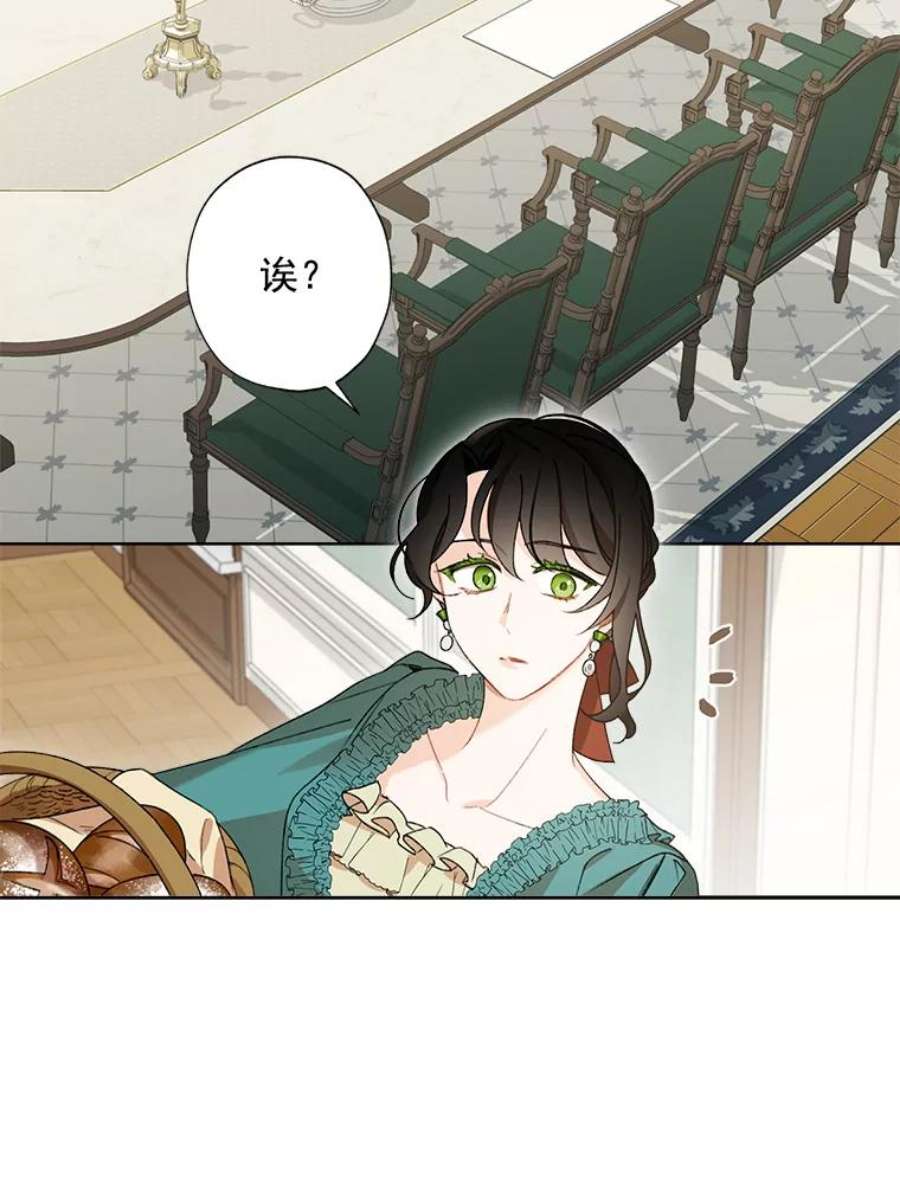 灰姑娘的善良继母2.舞会邀请函