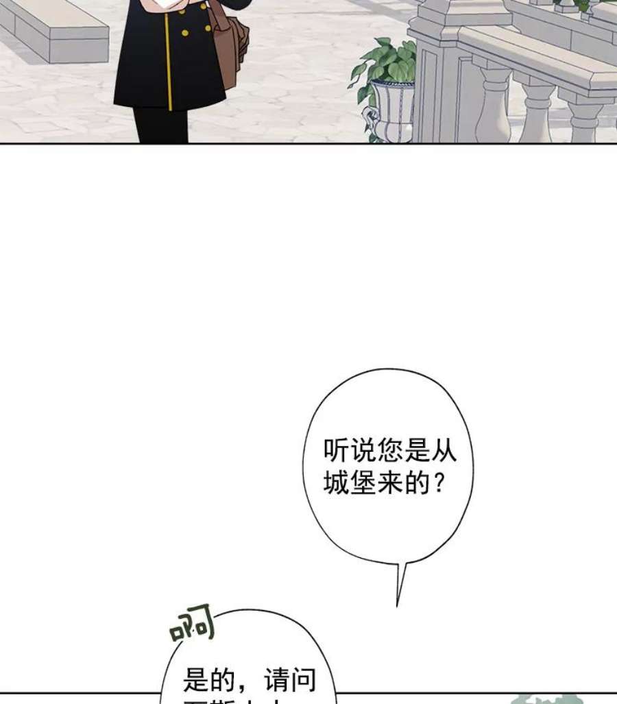 灰姑娘的善良继母2.舞会邀请函