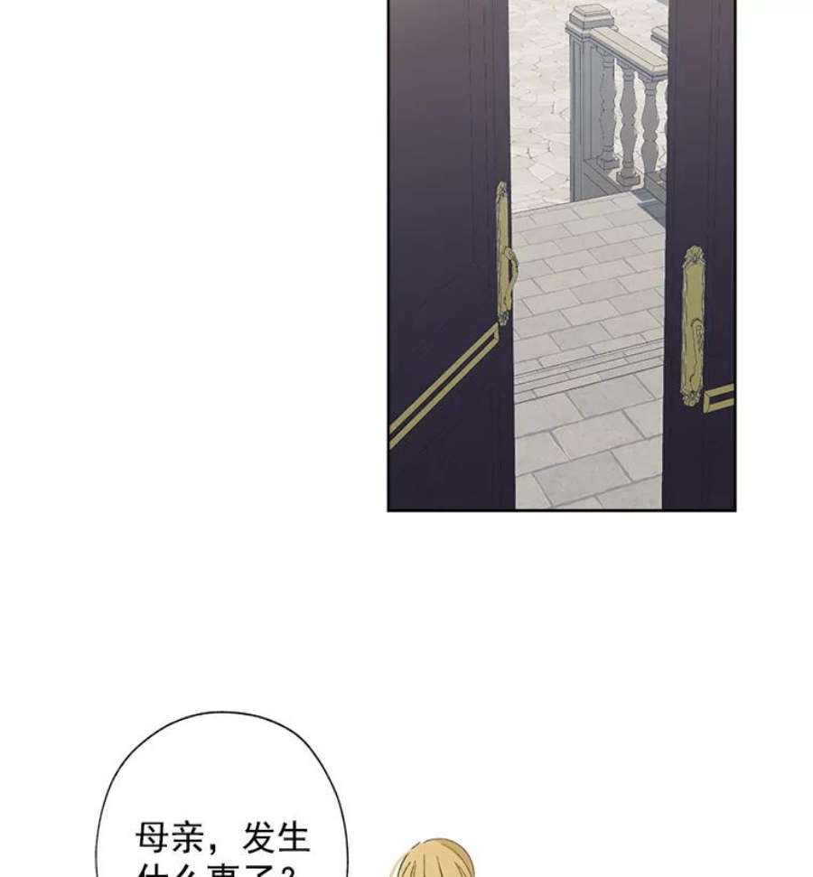 灰姑娘的善良继母2.舞会邀请函