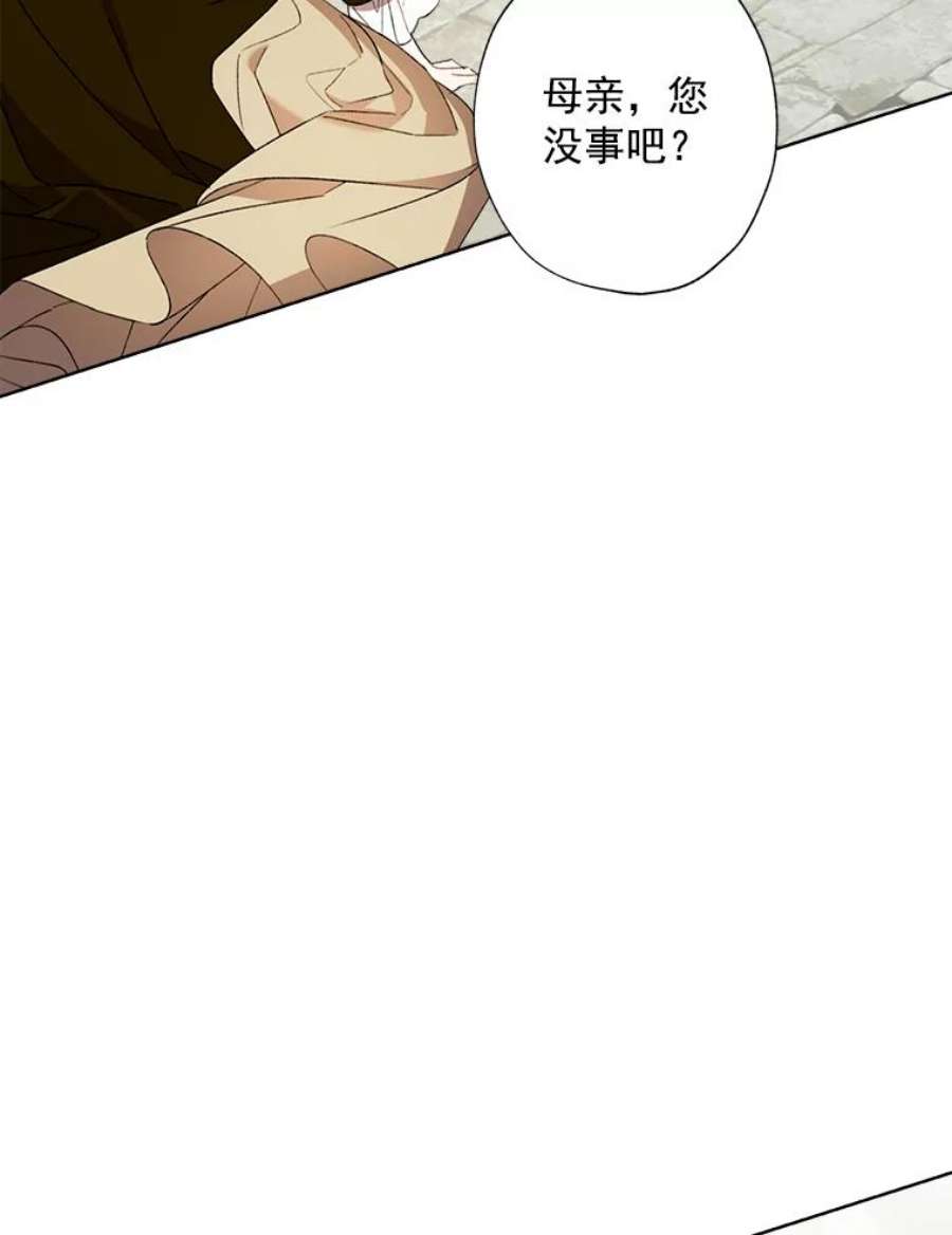 灰姑娘的善良继母3.偶遇