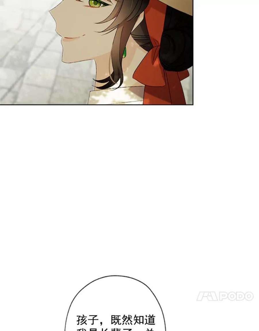 灰姑娘的善良继母3.偶遇