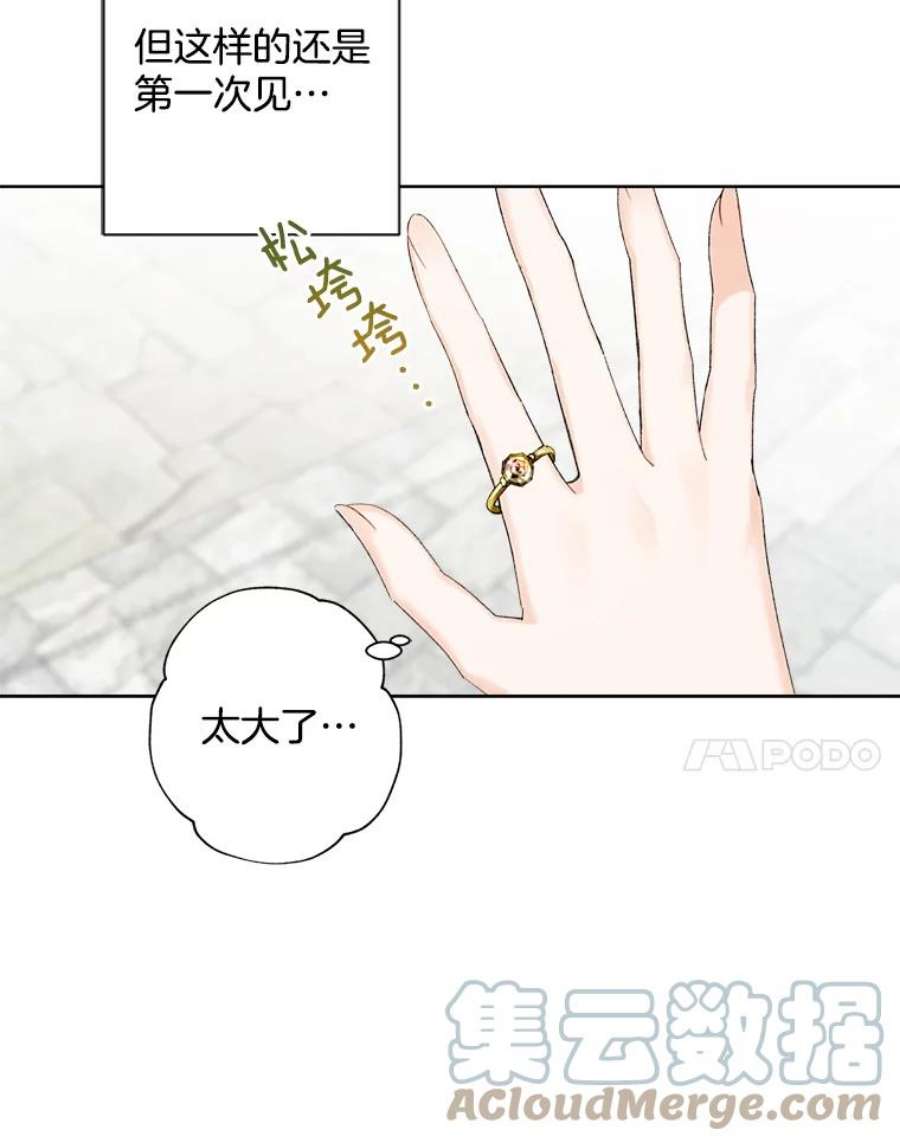 灰姑娘的善良继母3.偶遇