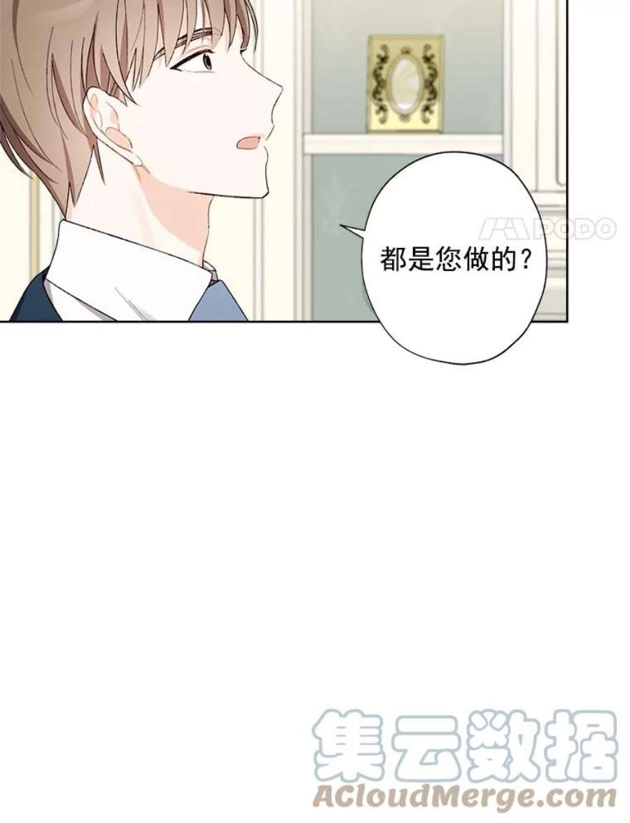 灰姑娘的善良继母8.古董鉴定专家