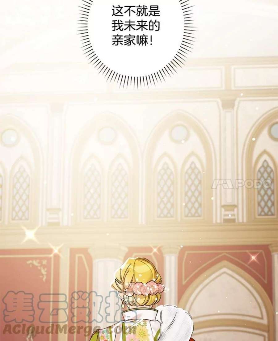 灰姑娘的善良继母9.再婚舞会