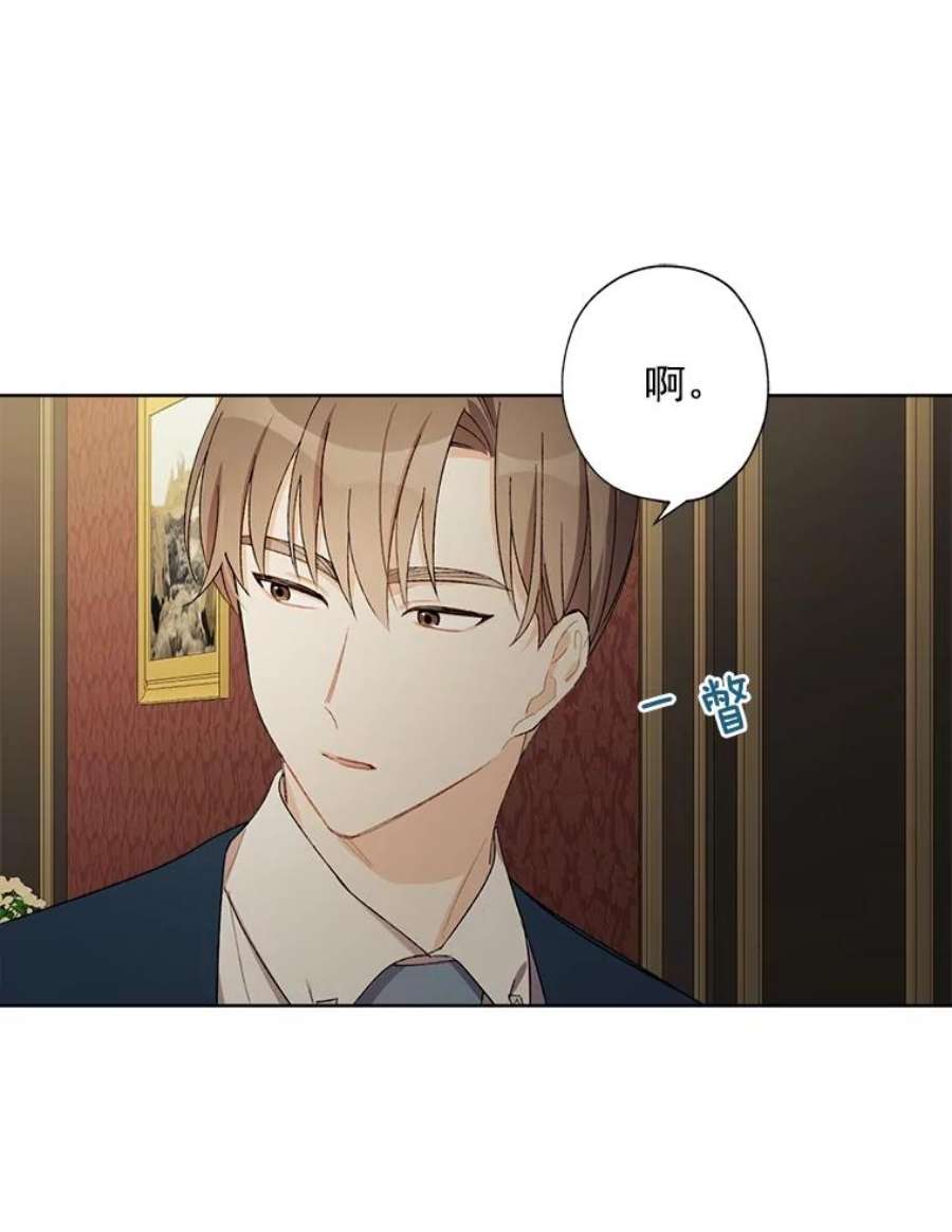 灰姑娘的善良继母9.再婚舞会