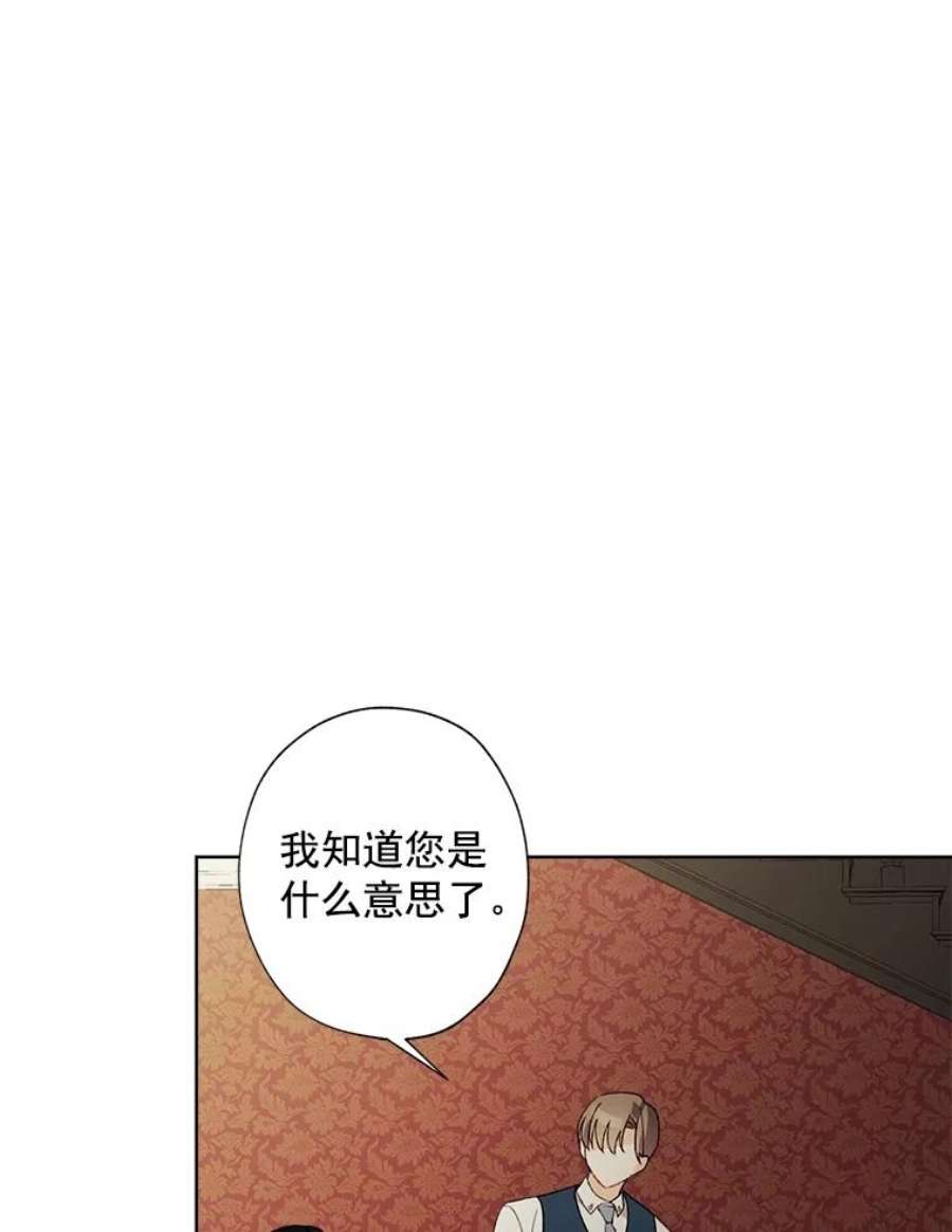 灰姑娘的善良继母9.再婚舞会