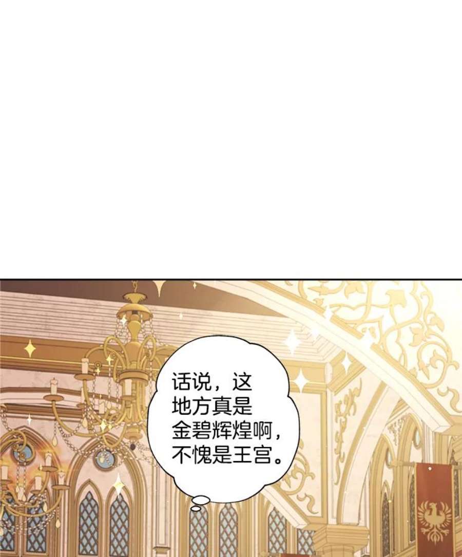 灰姑娘的善良继母9.再婚舞会