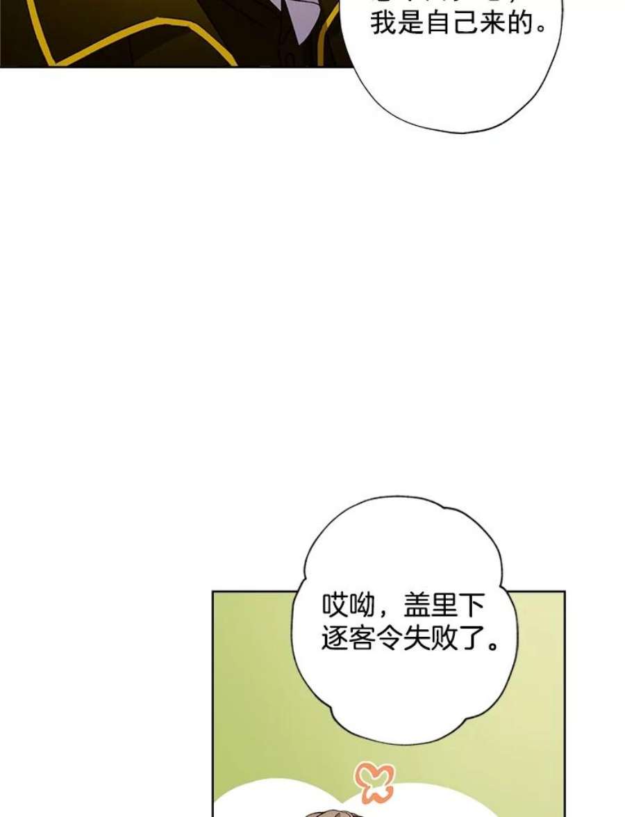 灰姑娘的善良继母9.再婚舞会