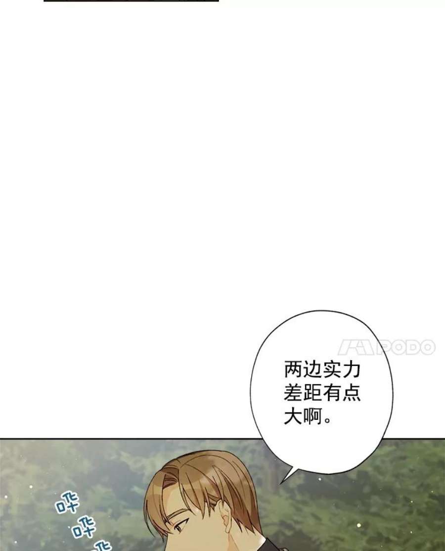 灰姑娘的善良继母12.愉快的野餐