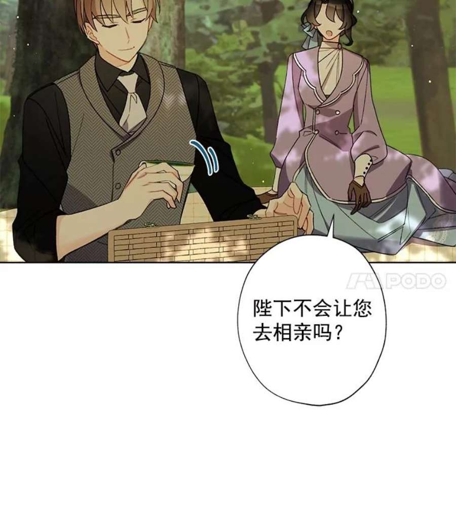 灰姑娘的善良继母12.愉快的野餐