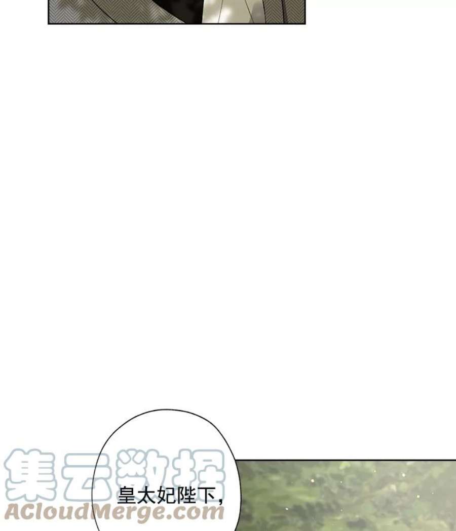 灰姑娘的善良继母12.愉快的野餐