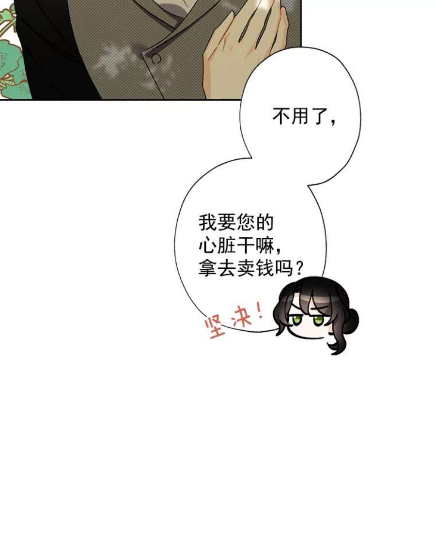 灰姑娘的善良继母12.愉快的野餐