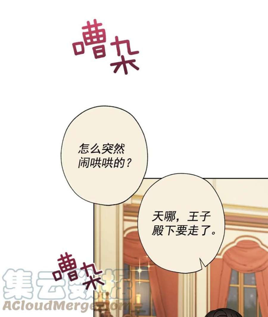 灰姑娘的善良继母19.王子和灰姑娘