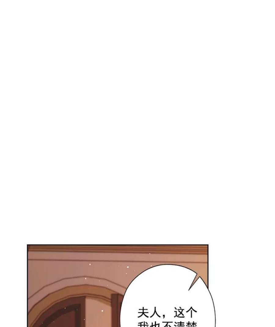 灰姑娘的善良继母19.王子和灰姑娘