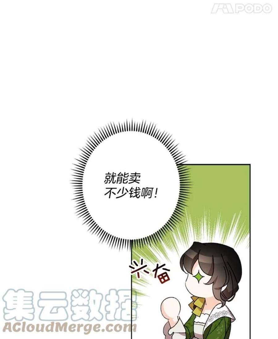 灰姑娘的善良继母25.邀请函