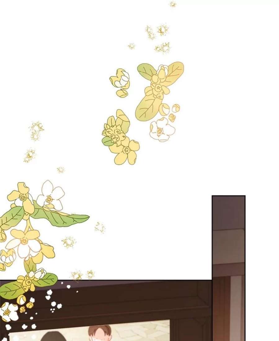 灰姑娘的善良继母25.邀请函