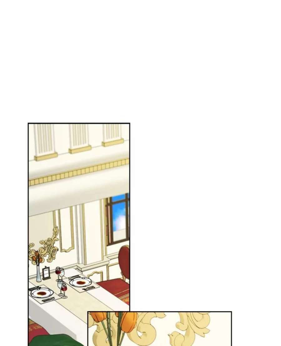 灰姑娘的善良继母27.王子的担忧